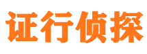 龙安市调查公司